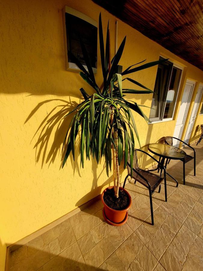 Cabana Varad Coronini Moldova Veche Екстер'єр фото